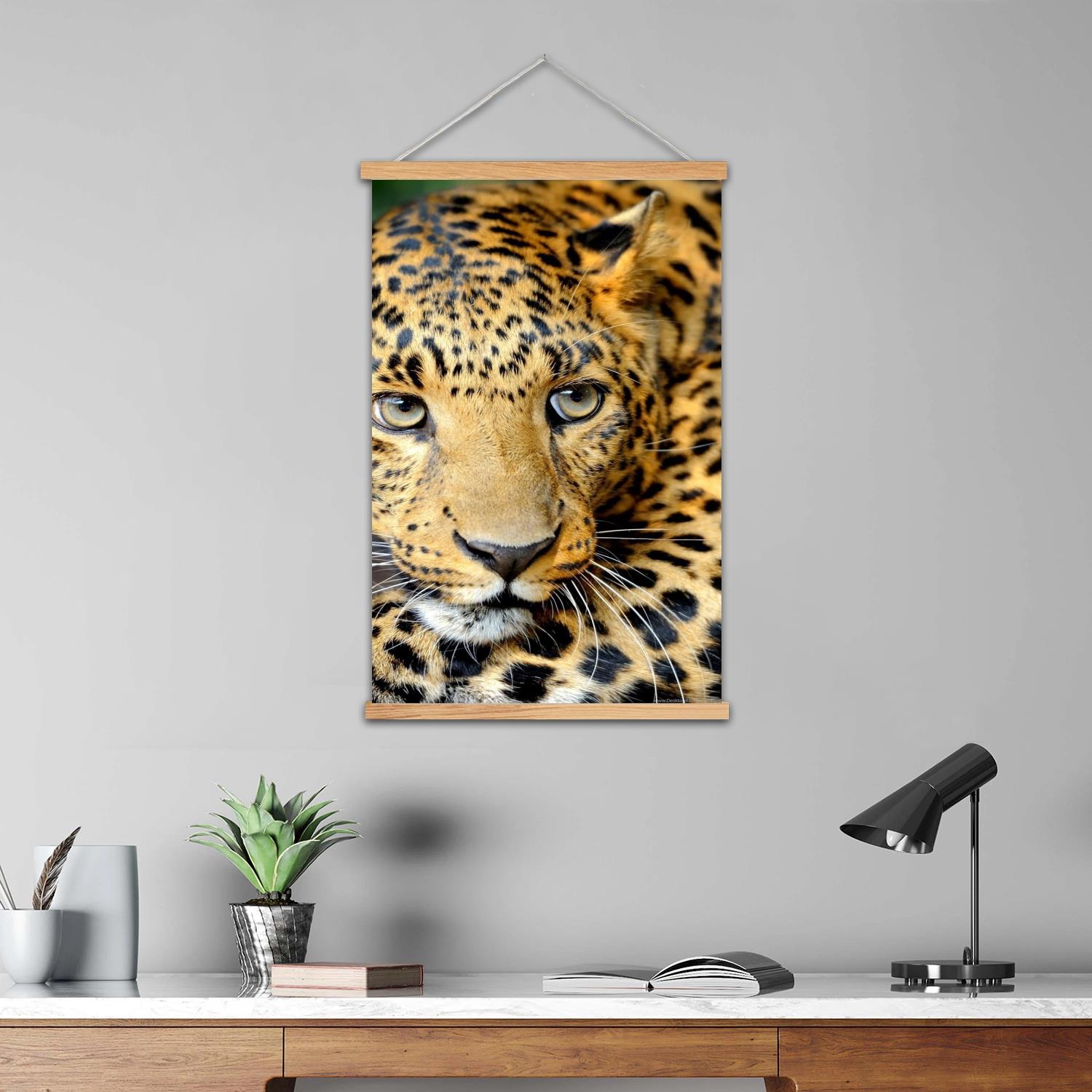 stampa leopardata Pittura mura - Art Print Framed recensione e prezzo
